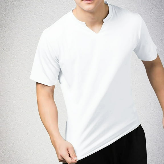 WAENQINLA Mens Shirts Casual Solid Color V-Neck Shirts Regular Fit Short Sleeve T-Shirt Bodybuilding Gym Workout Tops