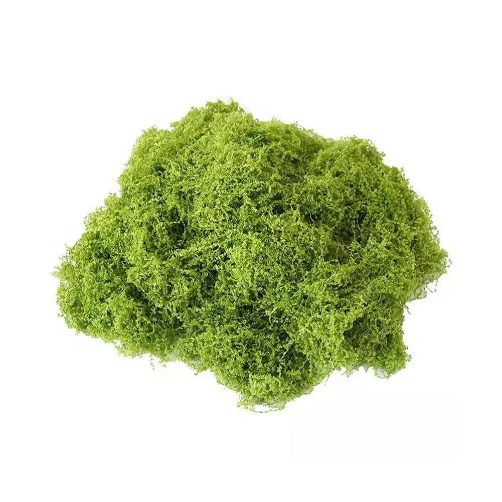 WAGA Fake Moss,Plastic Artificial Moss,Realistic Looking Faux Moss,Preserved Moss for Plants