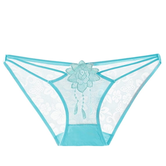 WAGUTH Womens Floral Lace Sheer Mesh Bikini Panties Comfortable Breathable Low Waisted Underwear for Daily Wear
