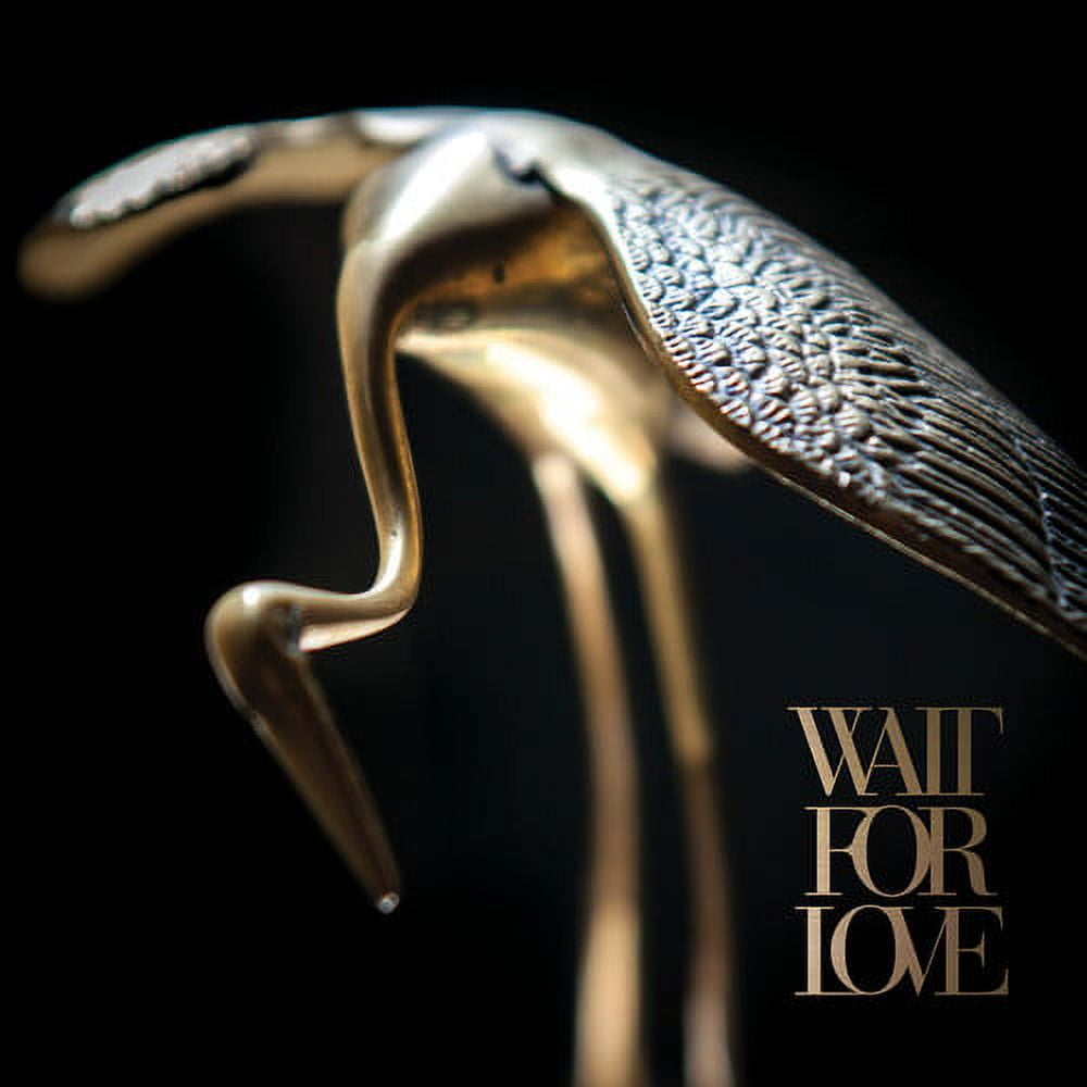 WAIT FOR LOVE (Vinyl)