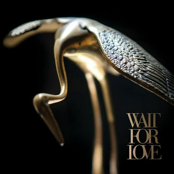 WAIT FOR LOVE (Vinyl)