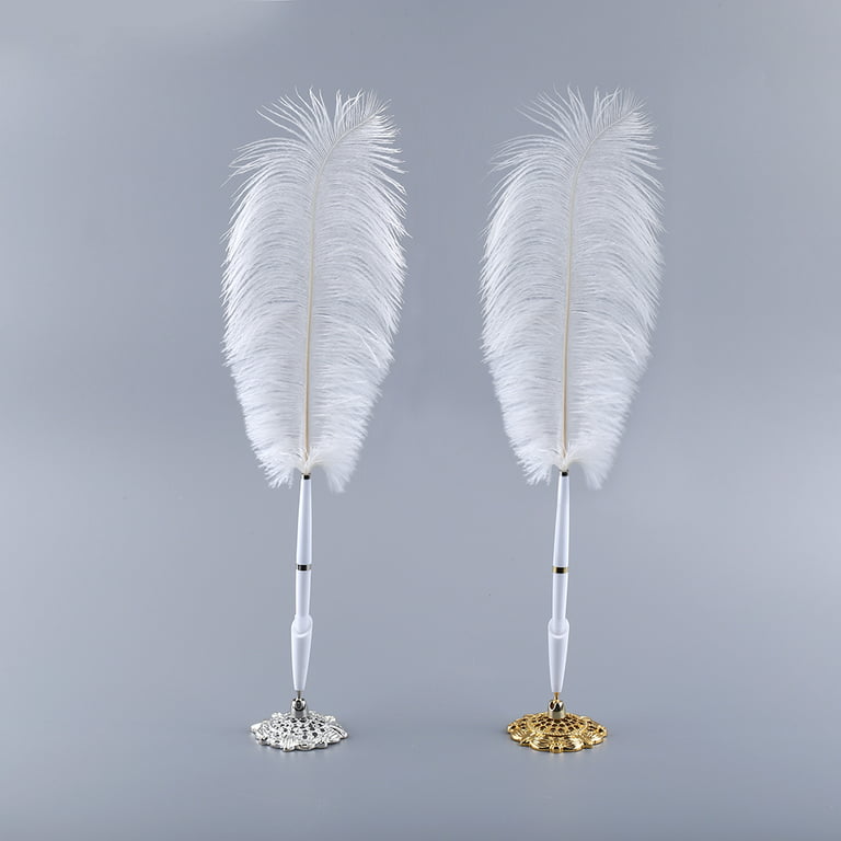 Custom Ostrich Feather Ballpoint Pen with Glass Stand