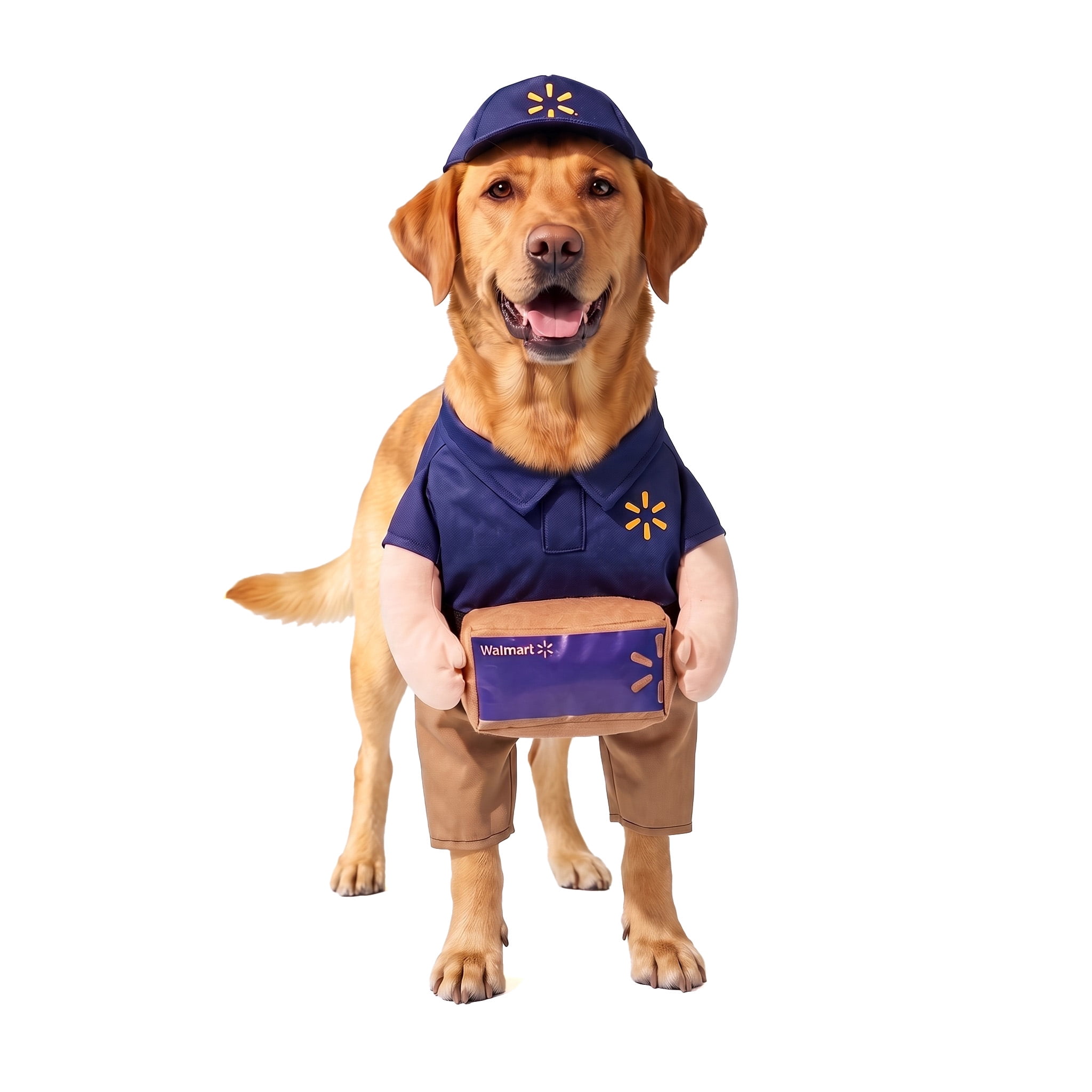 Vibrant Life Halloween Walmart Delivery Driver Dog Costume, Multicolor, L
