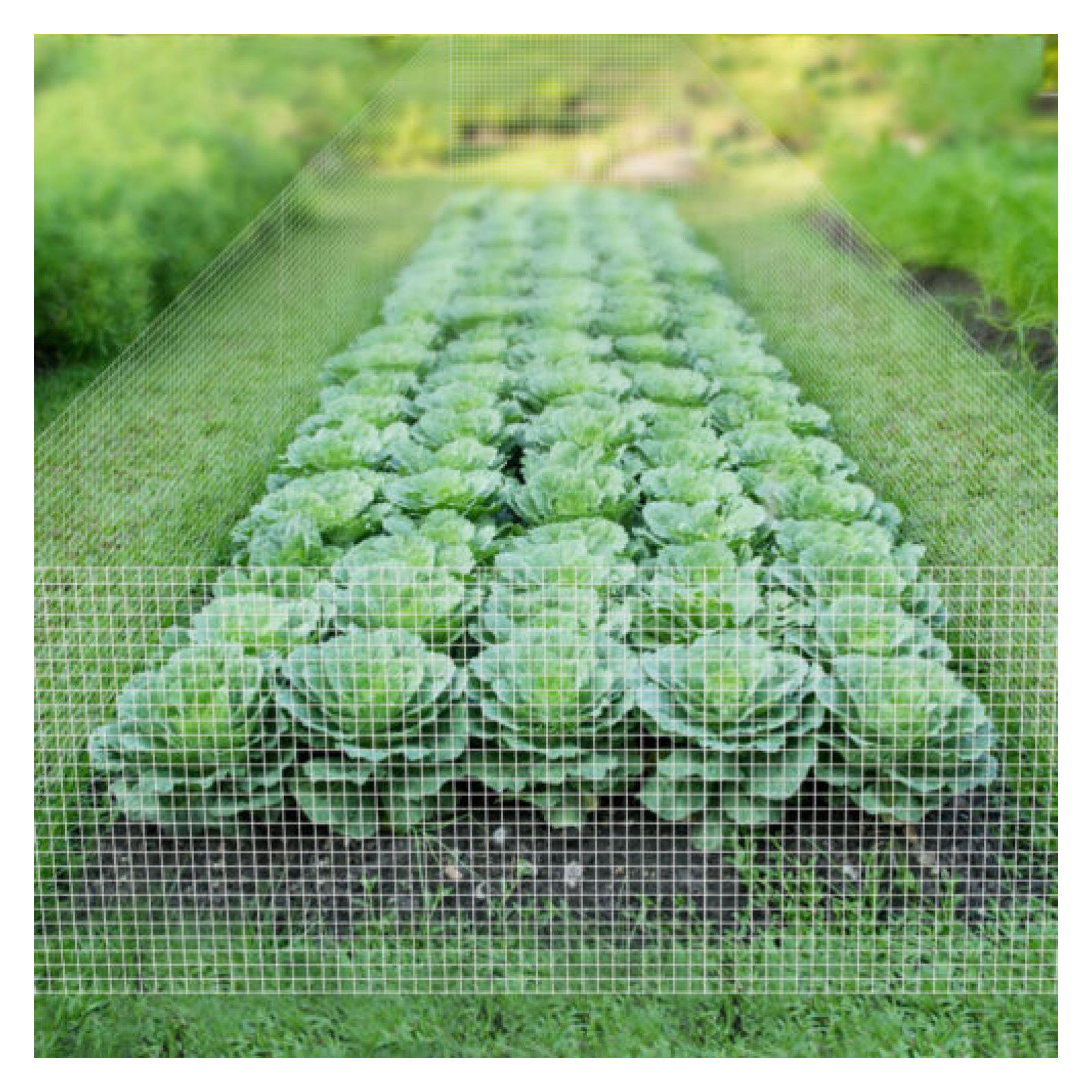 WANCQ Hardware Cloth 1/4 inch 36inch x 50ft Galvanized After Welding Fence Mesh Roll