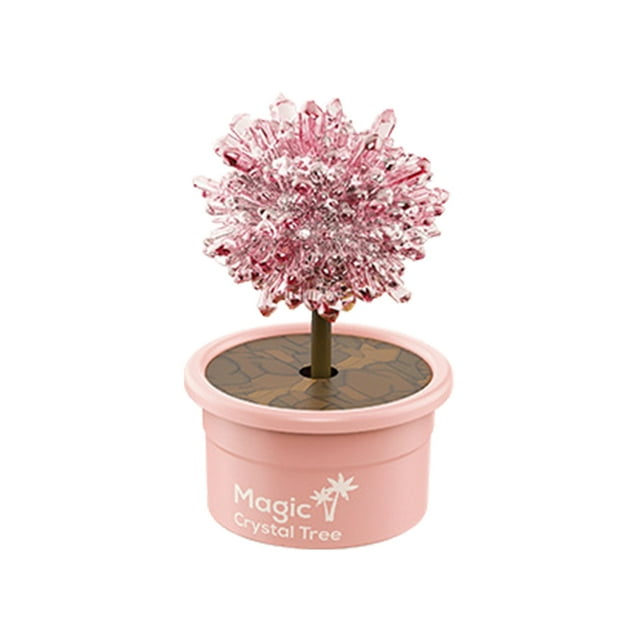 WANGJIAOID Diy Crafts for Kids Bulk Growing Kit For Kids Science Kits