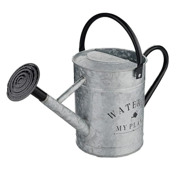 WANGJING 1PC Metal Watering Can, 4 Liter / 1 Gallon Large Capacity Garden Watering Pot with Removable Spout & Detachable Sprinkler Head, Durable for Indoor & Outdoor Plants, Silver