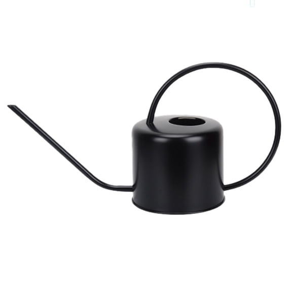 WANGJING 1PC Metal Watering Can, Large Capacity 2.5L Stainless Steel Long Spout Watering Pot for Indoor & Outdoor Plants, Ergonomic Handle, Black, Gold, Red or White