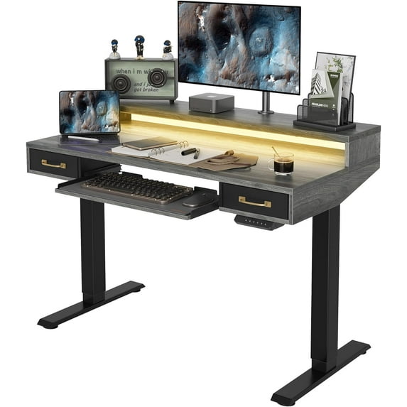 WANSHUN 48 x 24 Inch Height Adjustable Electric Standing Desk with Double Drawers&Keyboard Tray, Stand Up Desk with LED Strips, Sit Stand Desk with Monitor Stand, Rustic Grey