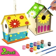 WANYR Gift,Crafts for Kids Ages 4-8 2Pack DIY Bird House Kit Build and Paint Birdhous 30ml Hot