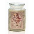 thumbnail image 1 of WARM TOBACCO - Courtneys Candles Maximum Scented 26oz Large Jar Candle, 1 of 1
