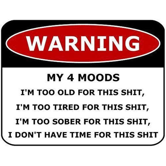 WARNING MY 4 MOODS. Funny Metal Aluminum Sign Size: 8 x 12 Inch