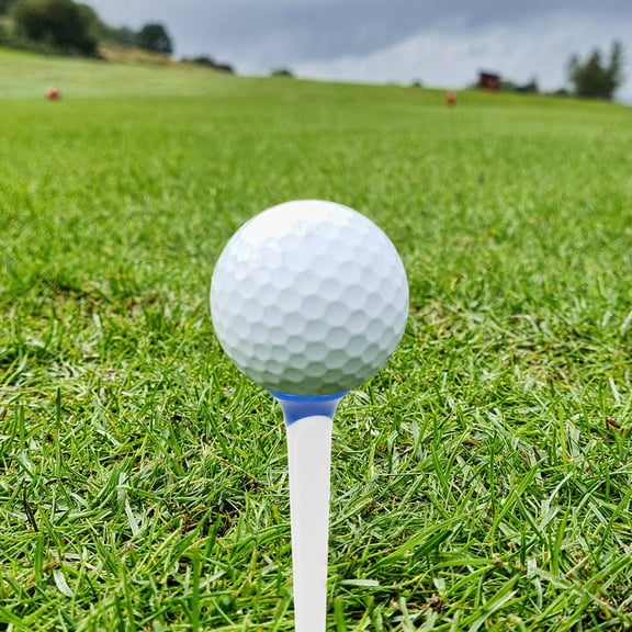 WASHWEPE 10Pcs Golf Training Accessories for Indoor and Outdoor Practice with Tpe Material