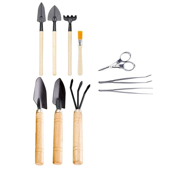 WASHWEPE 10Pcs Succulent Planting Tool Kit with Durable Wooden Handle for Home Gardening