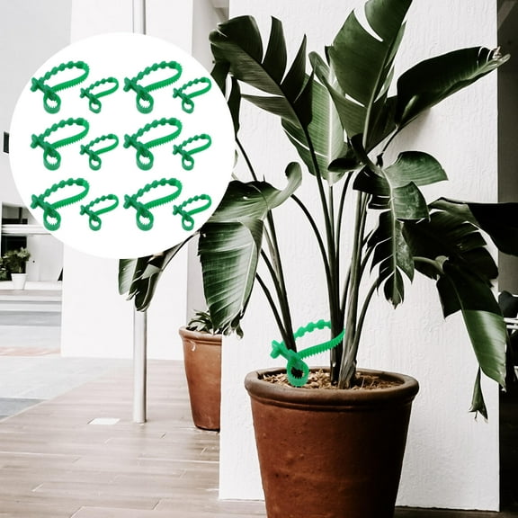 WASHWEPE 10pcs Garden Plant Tie Straps Support For Trees Lengths Durable Flexible For Use Strong Plant Support System