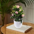 thumbnail image 1 of WASHWEPE 1Pack Imitation Bonsai Ornaments in Olive for Photography Scenes, 1 of 8