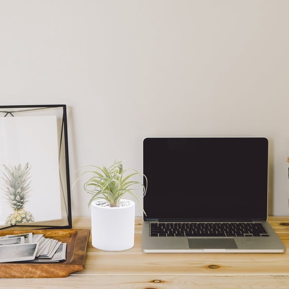 WASHWEPE Decor Bromeliad Green 1Pc 7.9X6.3X6.3In