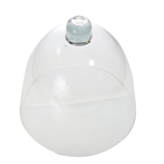 WASHWEPE 1Pcs Dome Cake Cover Transparent Anti-drop Airtight Seal Display Box