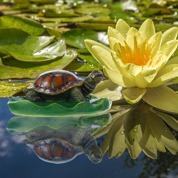 WASHWEPE 1Pcs Turtle Sculpture Resin Made for Indoor and Outdoor Decoration