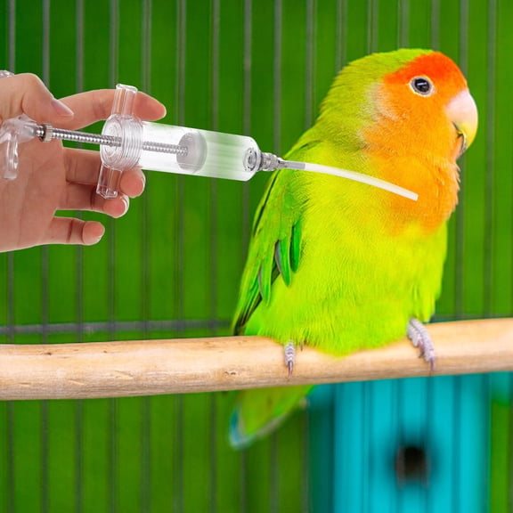 WASHWEPE 1Set Bird Hand Feeding Tube Feeding Kit for Parakeet Cage Accessories Light Portable