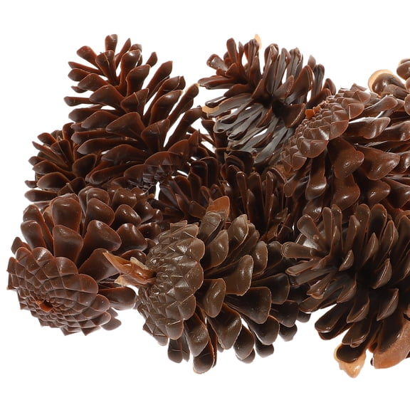 WASHWEPE 30pcs Fake Pinecones Frame Decoration in Coffee Color for Store Decor