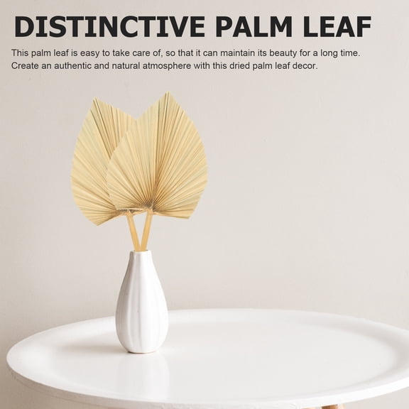 WASHWEPE Palm Leaves Decor Dried Palm Leaf Decoration 3pcs