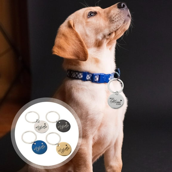 WASHWEPE Pet Identification Tags Stainless Message for Cat Dog Collars