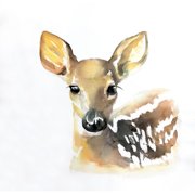 WATERCOLOR FAWN FACE Poster Print by Atelier B Art Studio (24 x 24)