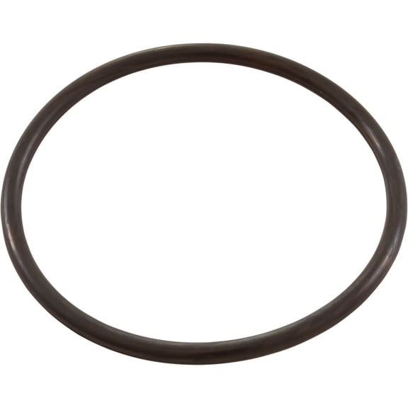 WATERWAY PLASTICS 805-0229B O-Ring #229 2 Inch Union Blowertp Gunite Flt Vlv