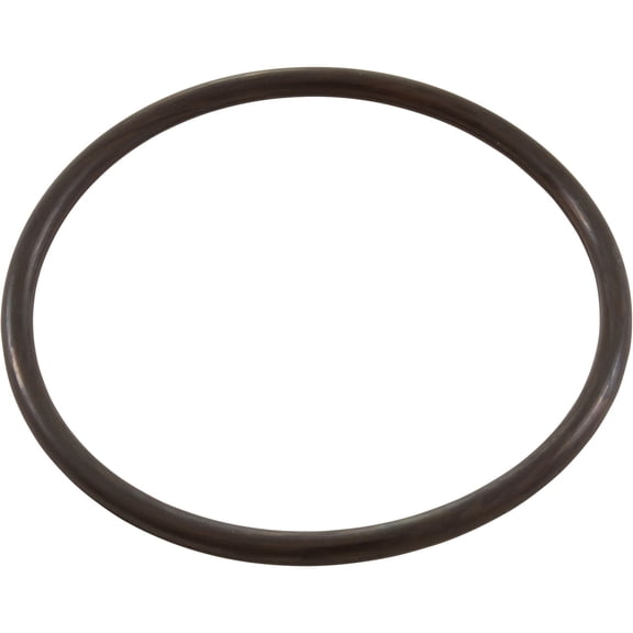 WATERWAY PLASTICS 805-0229B O-Ring #229 2 Inch Union Blowertp Gunite Flt Vlv
