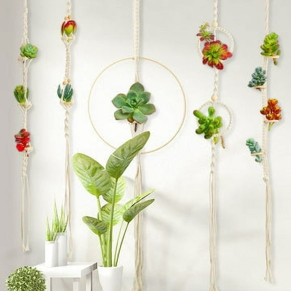 Hanging Air Plant Holders with 5 metal Hooks Wall Decorations for Home Garden Outdoor,5 Packs