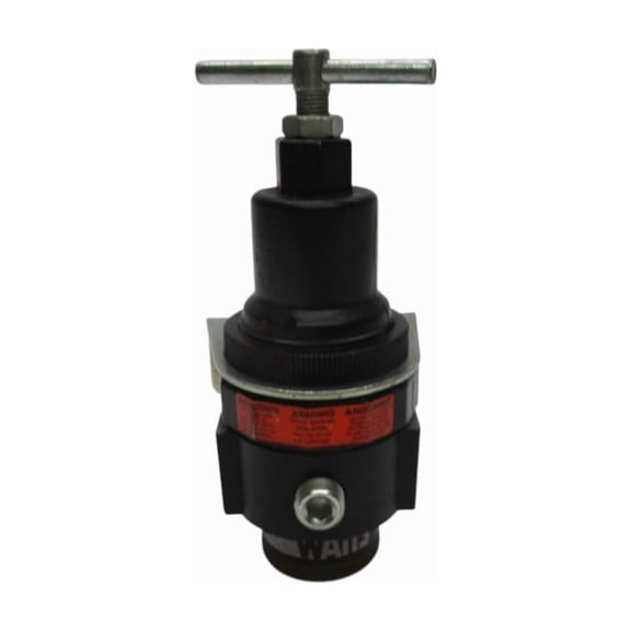 WATTS R11-02C/M3 300PSI (AS PICTURED) NSNP