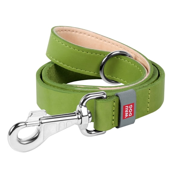 WAUDOG Classic Design Leather Dog Leash for Puppy Small Medium and Large Dogs - Boy & Girl Leather Dog Collar | Special Design Leather Leash for Training & Walking Cute Small, Medium Large Dog - Green