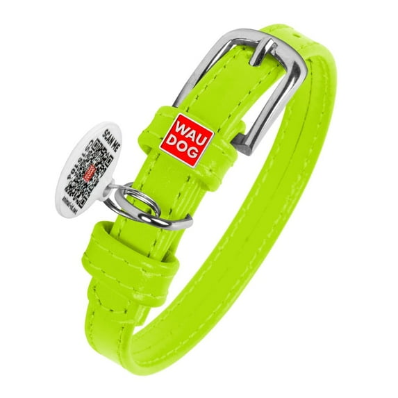 WAUDOG Glamour Plus Soft Leather Dog Collar | Dog Collars for Small Medium Large Dogs, Lightweight & Soft Padded Leather Collar with Beautiful Colors | Handmade with Real Genuine Leather - Light Green