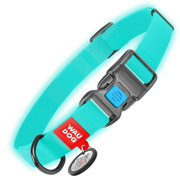 WAUDOG Glows In The Dark Waterproof Dog Collar with Plastic Buckle | Adjustable Dog Collar for Large, Small & Medium Dogs - Heavy Duty Dog Collars with QR Dog Tag | Boy & Girl Dog Collar - Mint
