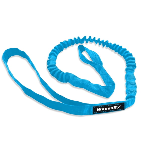 WAVESRX Bow Tether Shock Absorbing Bungee Mooring Tether 4 to 6 FT Dock Line - Blue