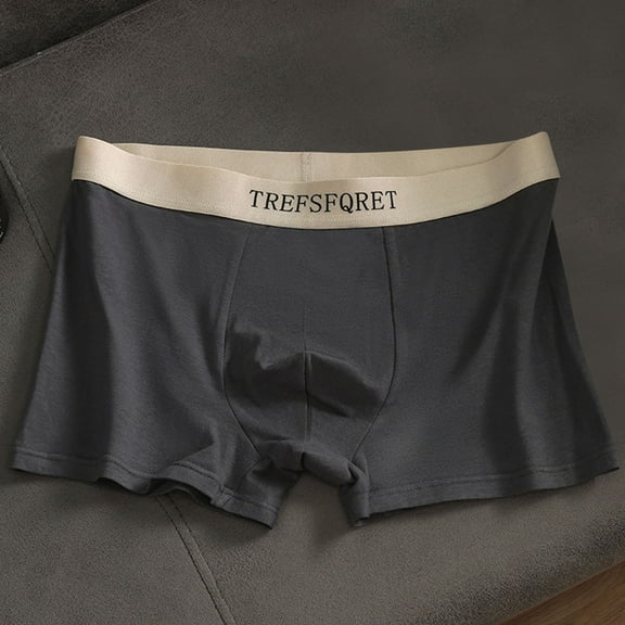 WAVSUF Summer Boxer Briefs Mens Solid Color Comfort Underpants Comfortable Ventilation Cotton Briefs Dark Gray Size 2XL