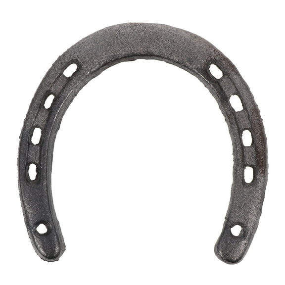 WAXIAYU Cast Iron Horseshoe Wall Decor - 5 Holes Each Side - Good Luck Decoration