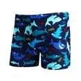 thumbnail image 1 of WAYUTE Baby Toddler Boys Swim Trunks Cartoon Printed Cute Soft Bathing Suit Shorts Stretchy Fit Water Activities, 1 of 6