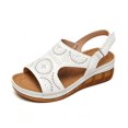 thumbnail image 1 of WAYUTE Women Sandals Platform Solid Color Sandals Fashion Shoes Comfortable Wide Width Ladies Footwear Casual Outdoor, 1 of 7