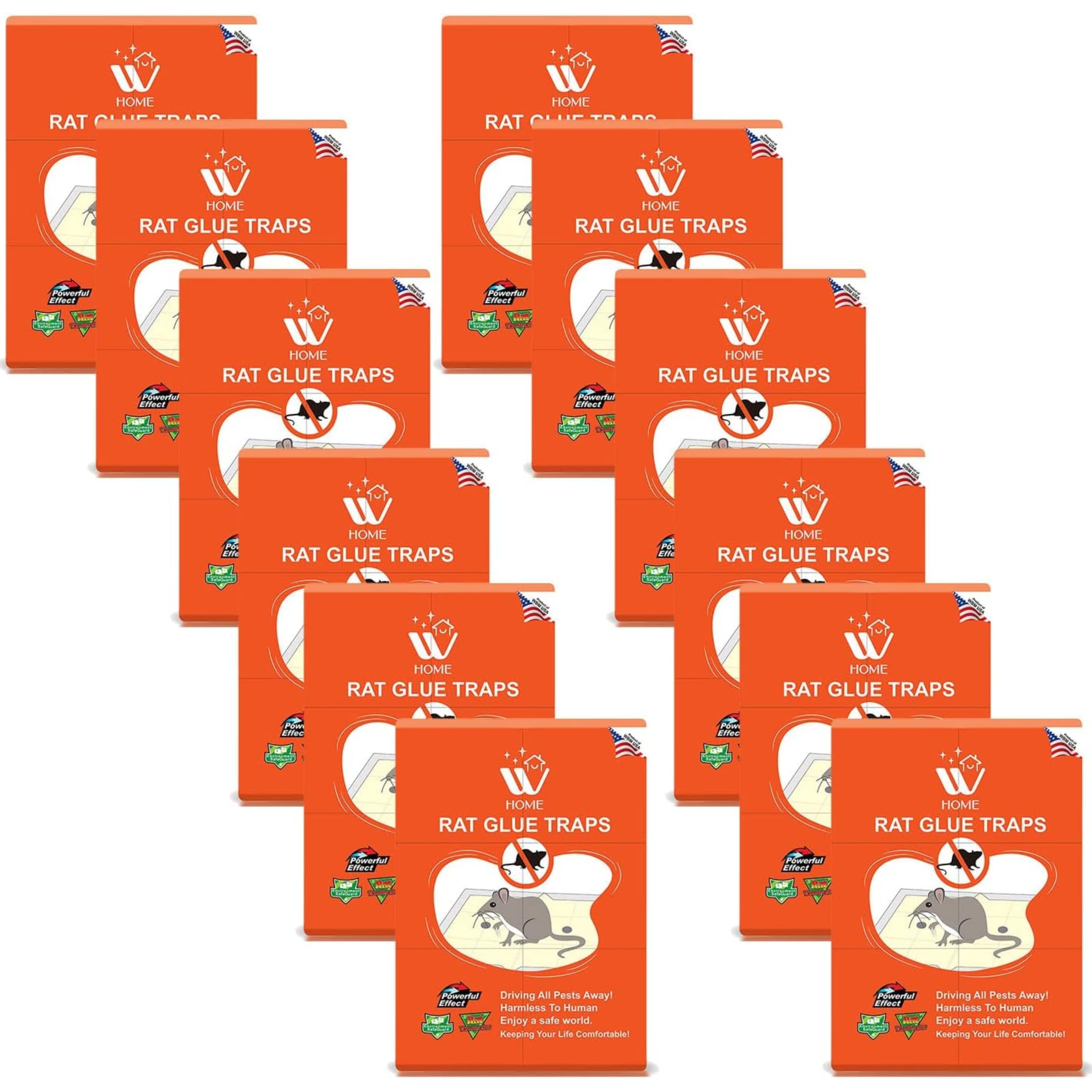 WBM Rat Glue trap, Indoor and Outdoor Rat Trap, Best to Keep Your Home Safe, Large - 12 Count
