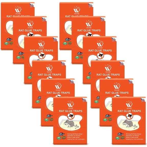 WBM Rat Glue trap, Indoor and Outdoor Rat Trap, Best to Keep Your Home Safe, Large - 12 Count