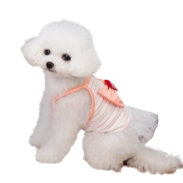 Puppy Turkey Dress Petitebella Turkey Dog Dress - "Gobble Till You Wobble" Thanksgiving Costume For Small Dogs Thanksgiving Dog Dress Orange Puppy Turkey Dress Petitebella Turkey Dog Dress - "Gobble Till You Wobble" Thanksgiving Costume For Small Dogs Thanksgiving Dog Dress Orange