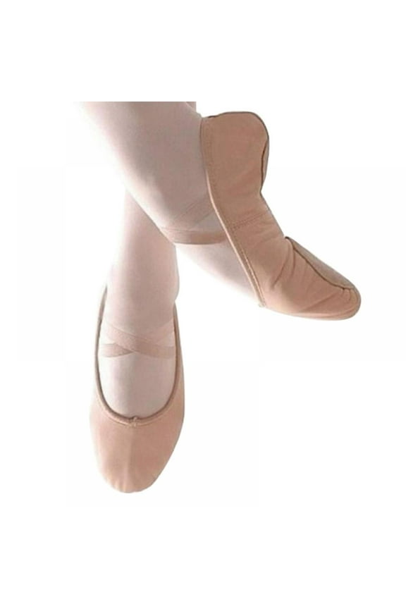 Women's Ballet Shoes Stretch Canvas Dance Slippers Split Sole for Girls/Adult Pink 12