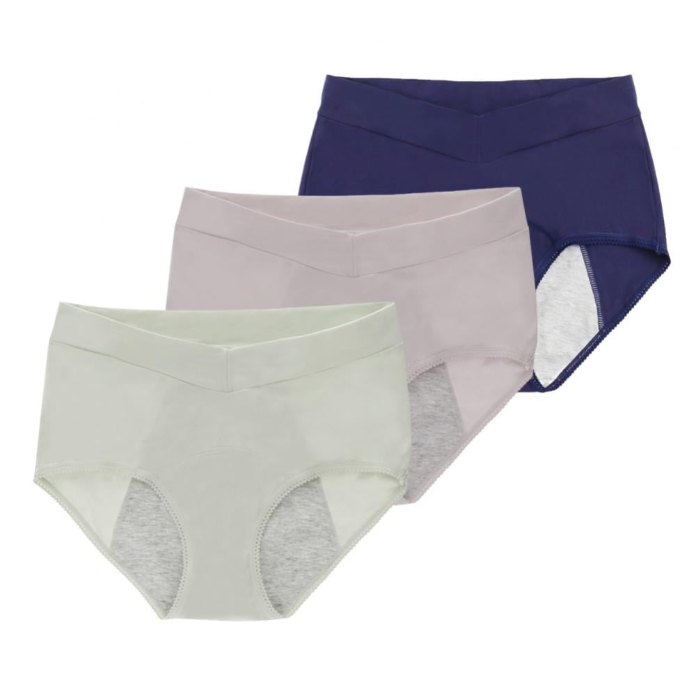 Hanes Women's 3pk Comfort Period Leakproof Moderate Briefs - Black/Gray 10