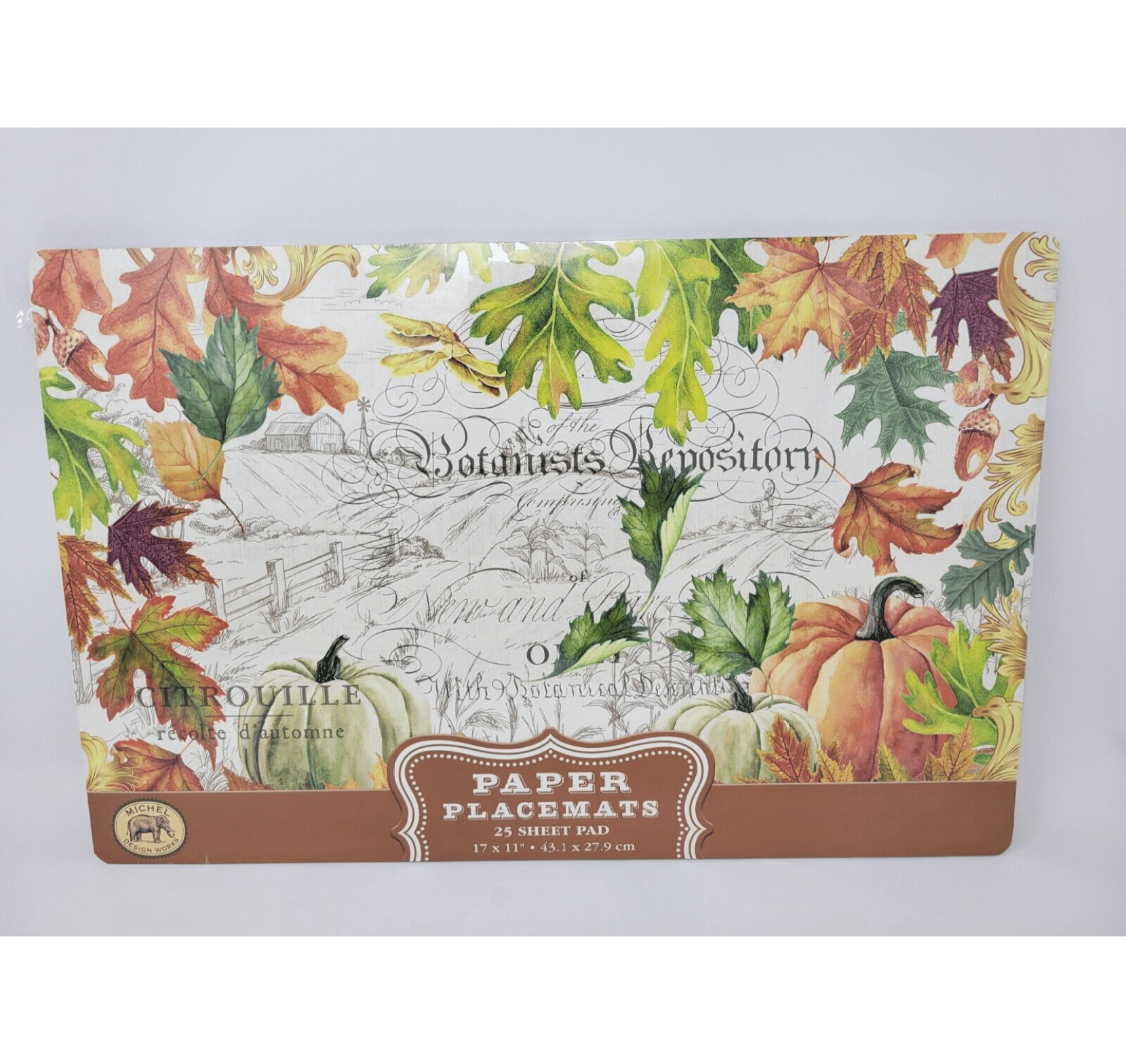 WBTAYB Fall Harvest Autumn Pumpkins Paper Placemats 25 Sheet Pad