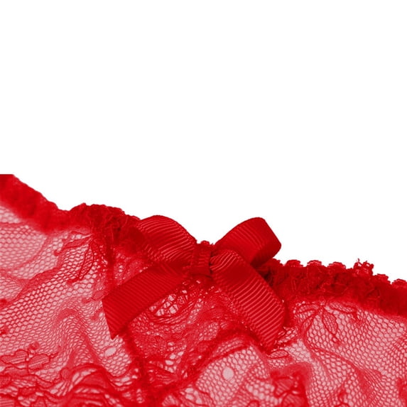 WCJM Elastic Lace Brief Underwear for Women Stretchy Panty with Garter Skirt Attachment Comfortable Daily Underpants with Vintage Style