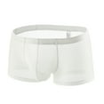 thumbnail image 1 of WCJM White Men's Underwear Boxer Briefs Mesh Breathable Underpants, 1 of 4