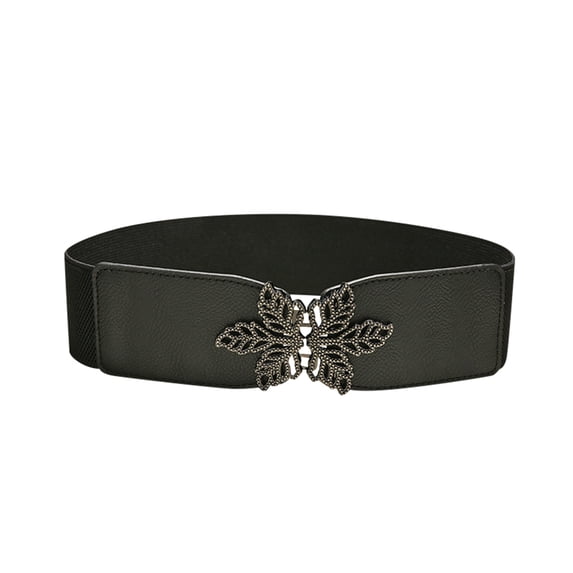 WCJM Women's Skinny Retro Elastic Waist Belt Thin Stretch Belt with Golden Buckle for Dresses Western Belt