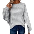thumbnail image 1 of WCMZJ Womens Plus Size Fall Shirts 2024 Round Neck Long Sleeve Tops Casual Loose Fitting Soft Ribbed Knit Tunic Blouse Gray 3XL, 1 of 7