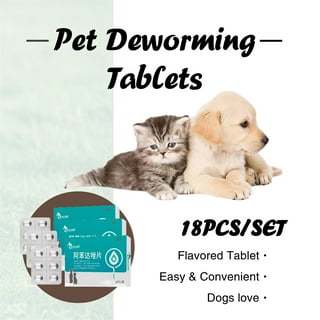 Worming Treatment Kittens